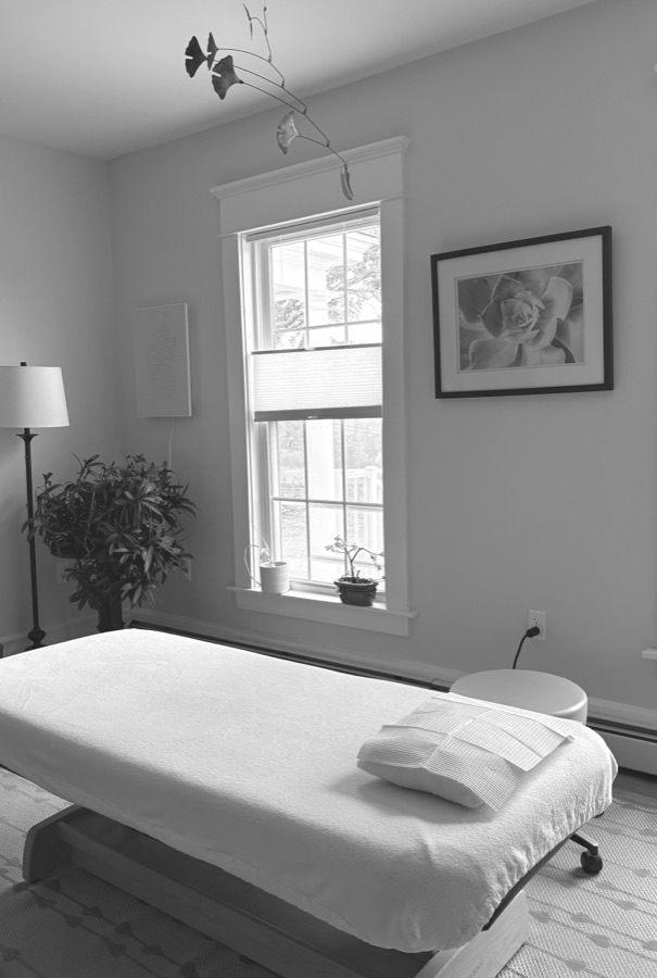 A treatment room at RiverTree — table, window light, and plants